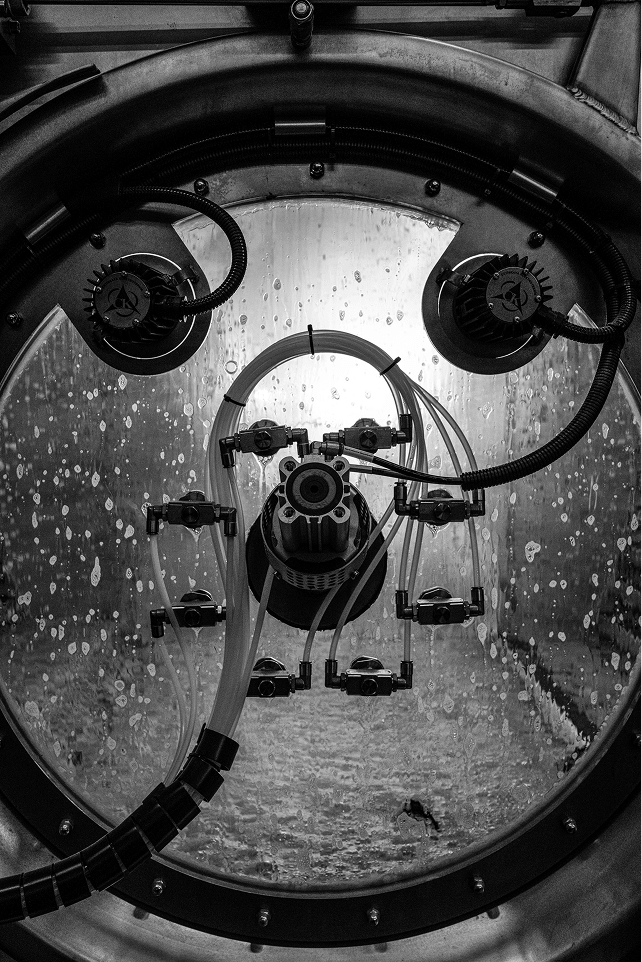 Brusnika — womenwear brand