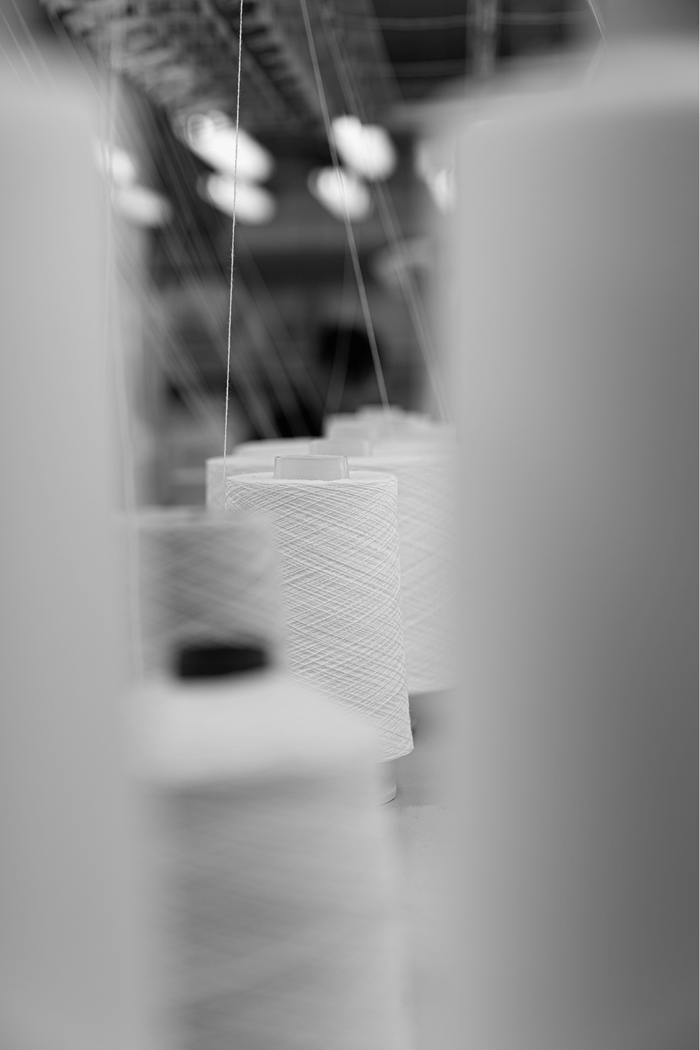 Brusnika — womenwear brand