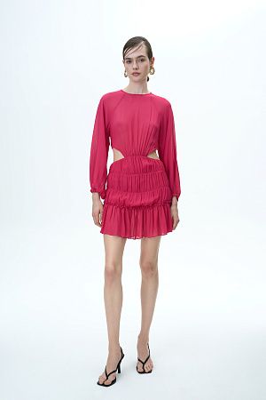 Fuchsia