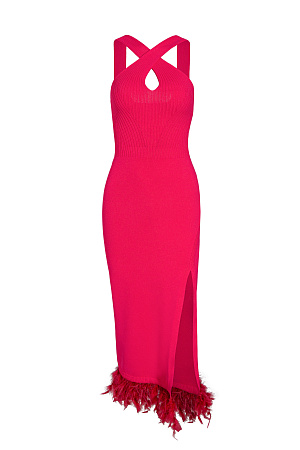 Fuchsia