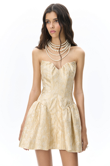 Jacquard Corset Dress - BRUSNIKA Women Clothes